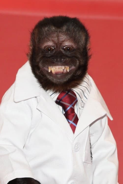 Crystal the Monkey filmleri