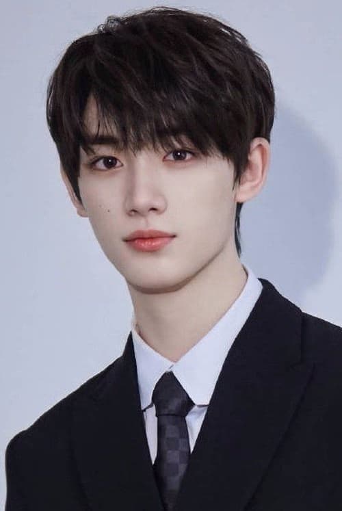 Ding Cheng Xin filmleri