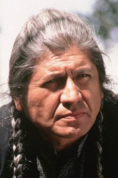 Gordon Tootoosis filmleri