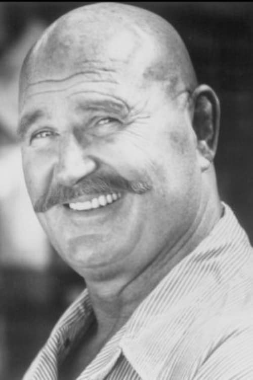 H.B. Haggerty filmleri