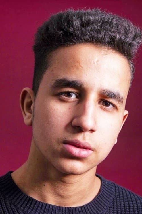 Hamza Zaidi filmleri