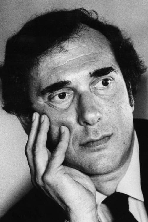 Harold Pinter filmleri