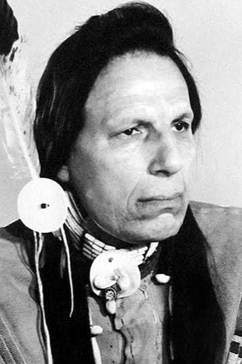 Iron Eyes Cody filmleri
