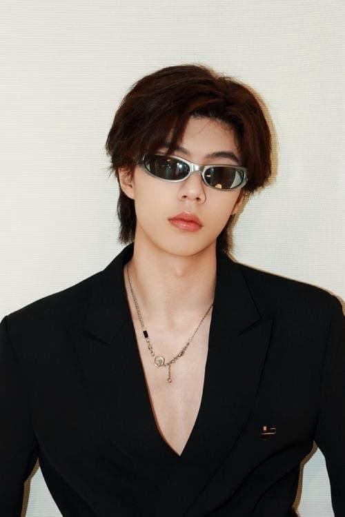 Li Zhekun filmleri