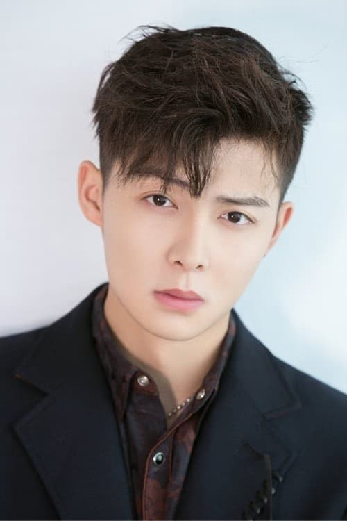 Ming'en Zhang filmleri