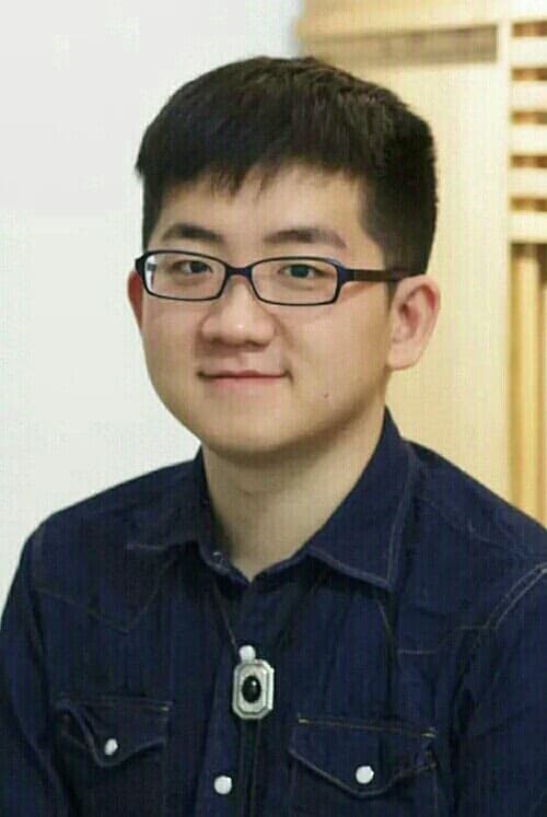 Ma Zhengyang filmleri