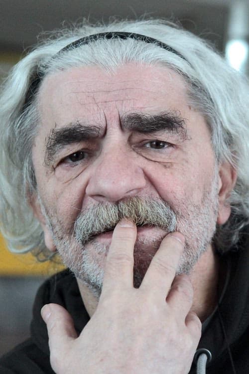 Nermin Tulić filmleri