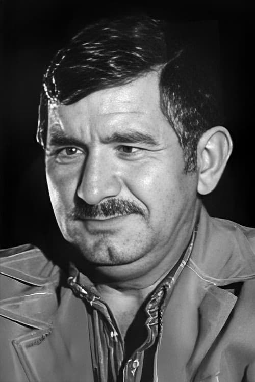 Nizam Ergüden filmleri