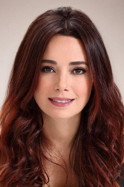 Özgü Namal filmleri