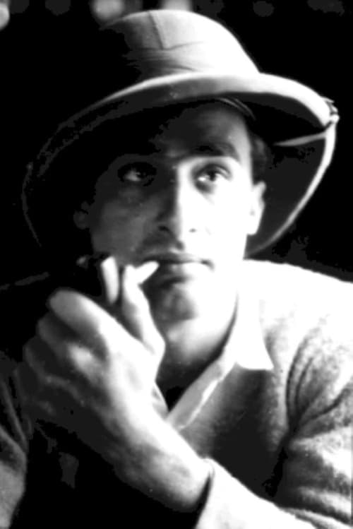 Raul Schnoor filmleri