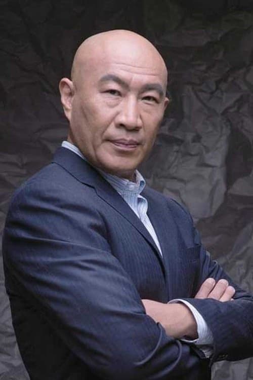 Shi Zhao-Qi filmleri