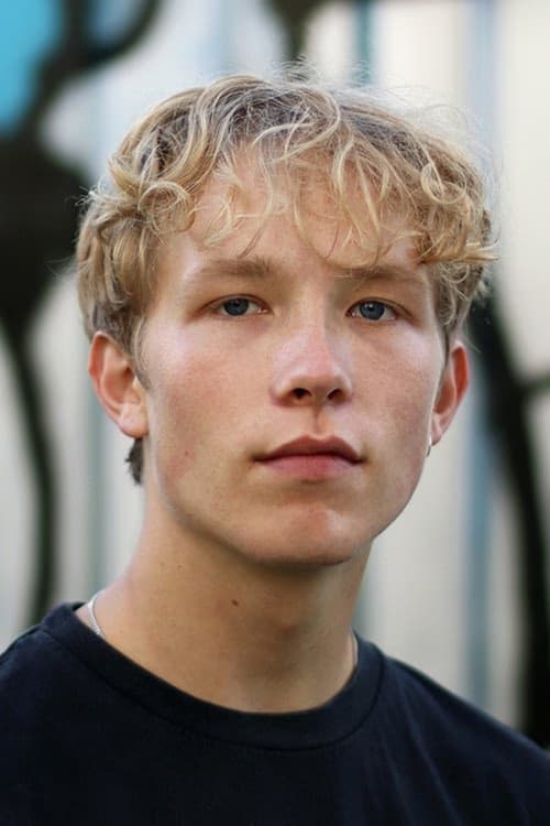 Teun Stokkel filmleri