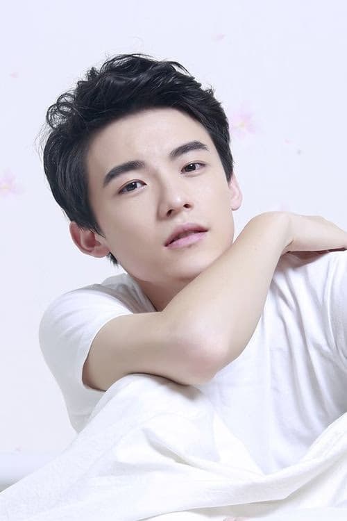 Wang Luo-jia filmleri