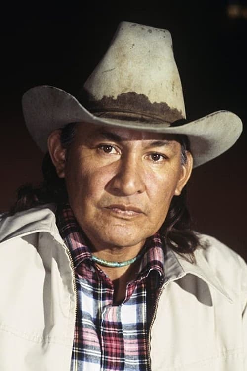 Will Sampson filmleri