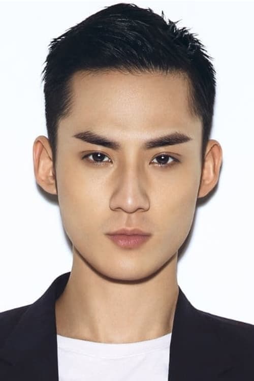 Zhao Wenhao filmleri