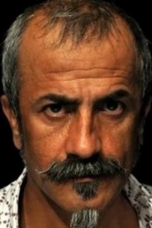 Zülfü Hamit Altin filmleri
