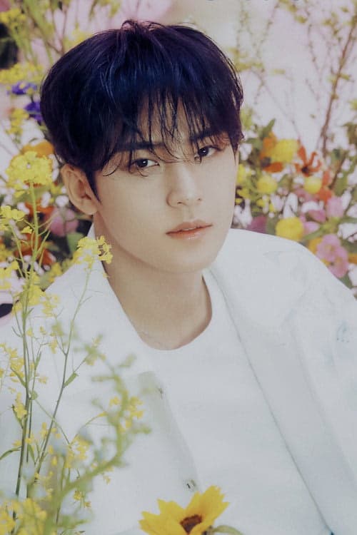Mingyu filmleri