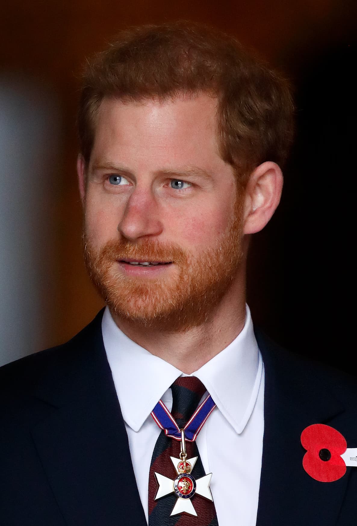 Prince Harry filmleri