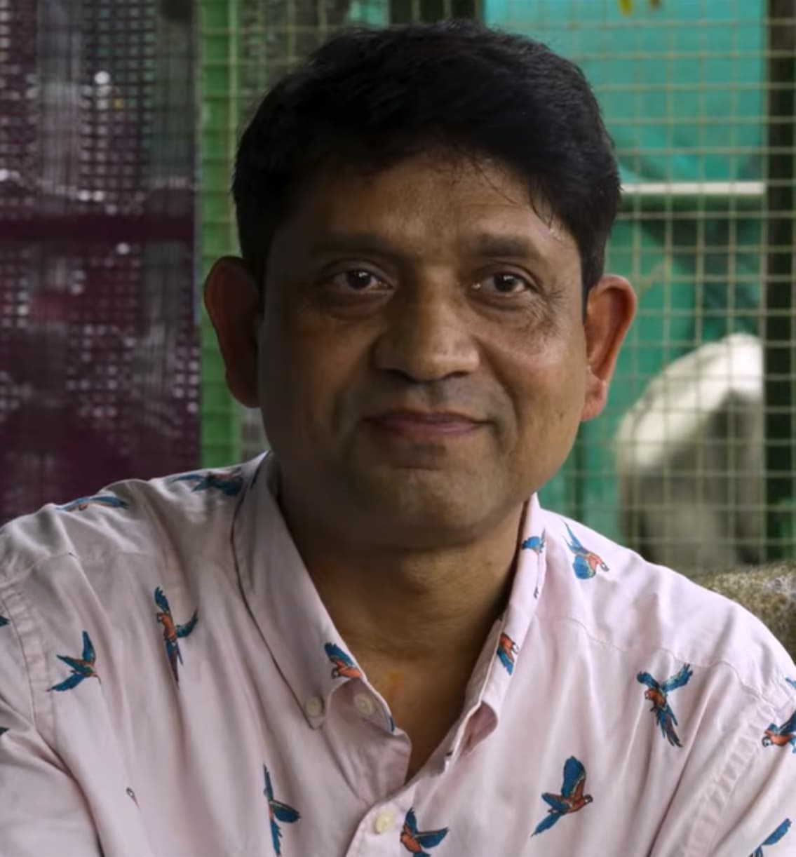 Sanjay Mohapatra filmleri