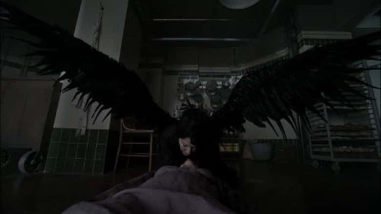 American Horror Story 2. Sezon 7. Bölüm kapak