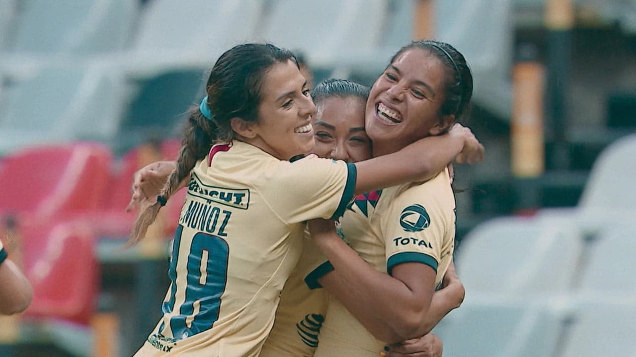 6. Bölüm