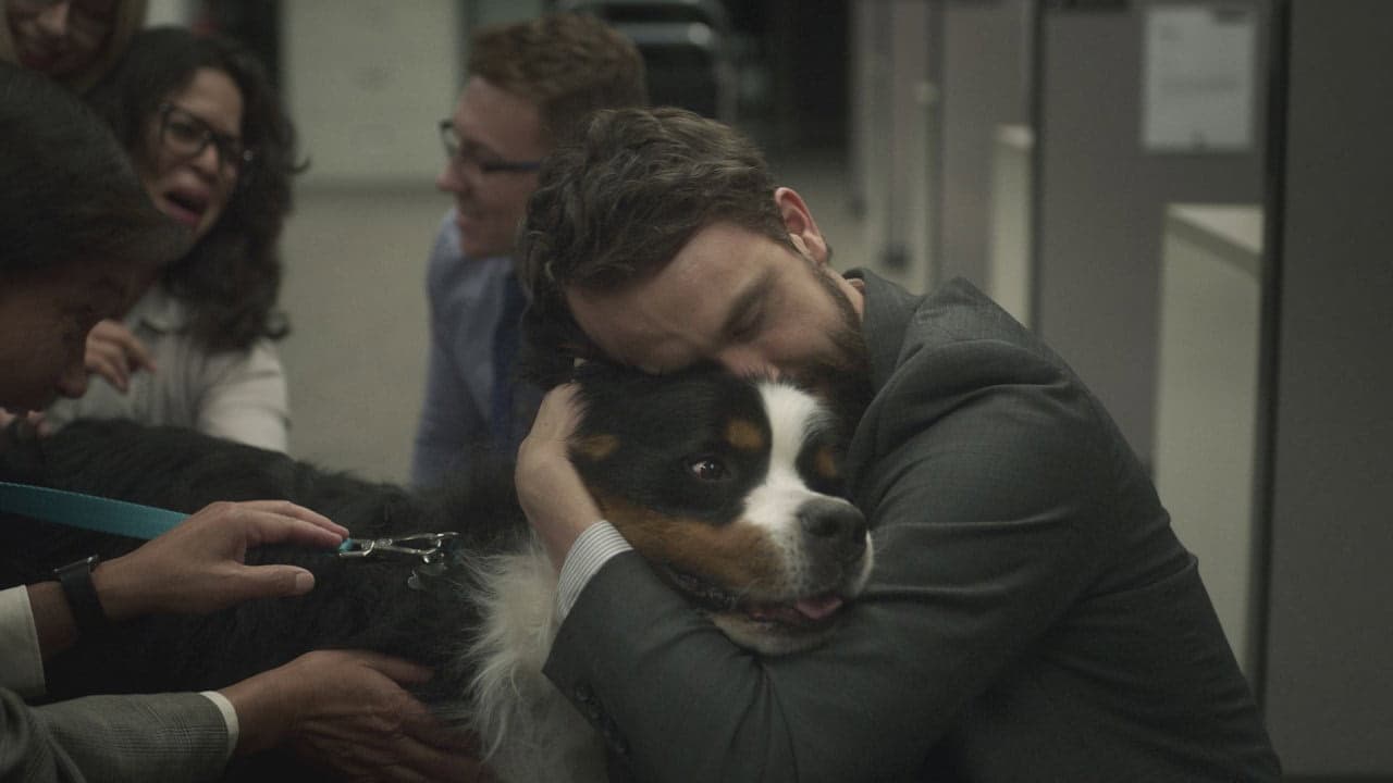 4. Bölüm