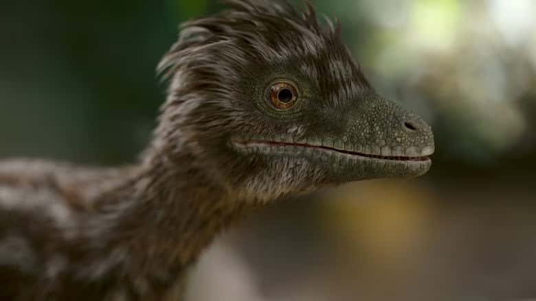 Dinozorlar 1. Sezon 1. Bölüm kapak