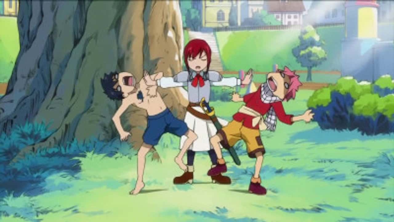 Fairy Tail 2. Sezon 23. Bölüm kapak