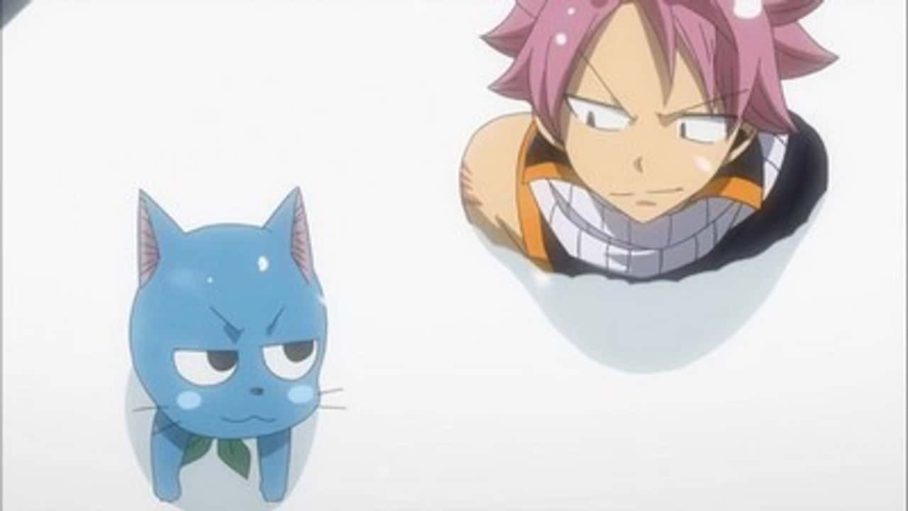 Fairy Tail 5. Sezon 46. Bölüm kapak