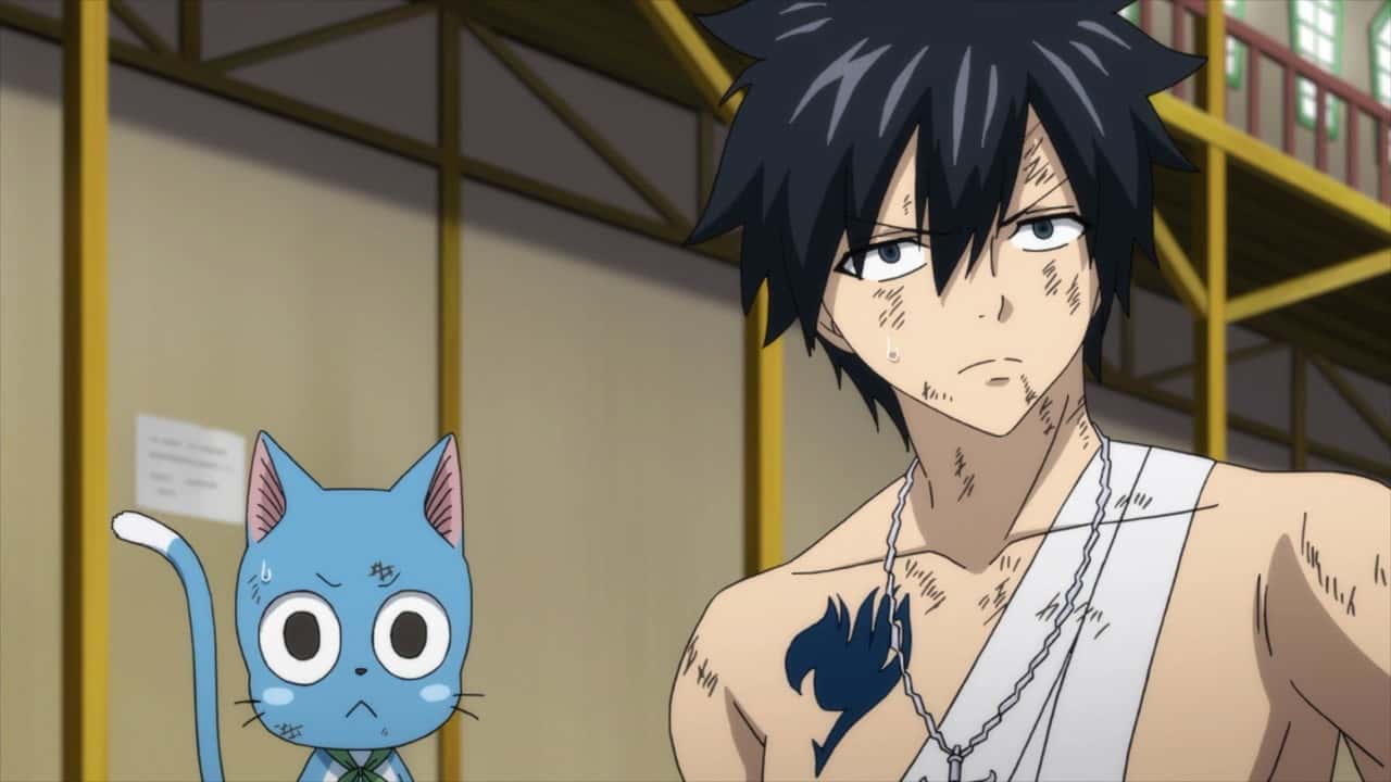Fairy Tail 8. Sezon 39. Bölüm kapak