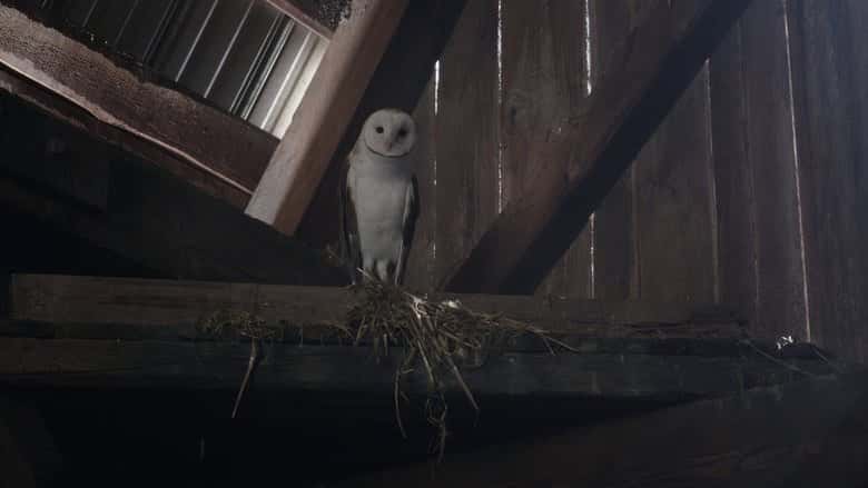 Ghosts 3. Sezon 1. Bölüm kapak