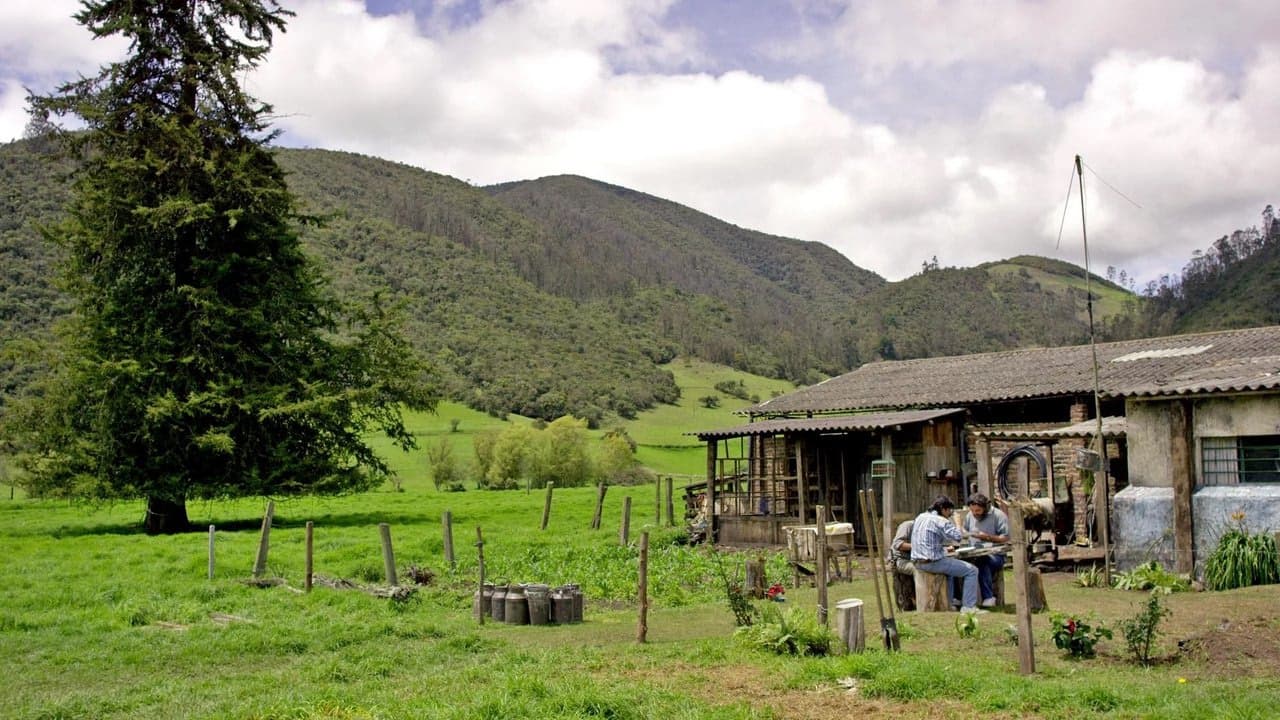 9. Bölüm