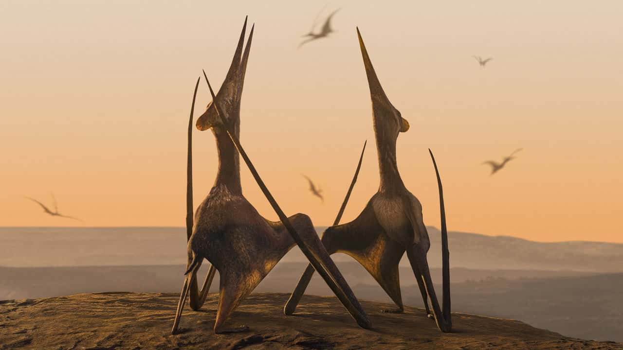 Prehistoric Planet 1. Sezon 2. Bölüm kapak