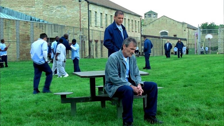8. Bölüm