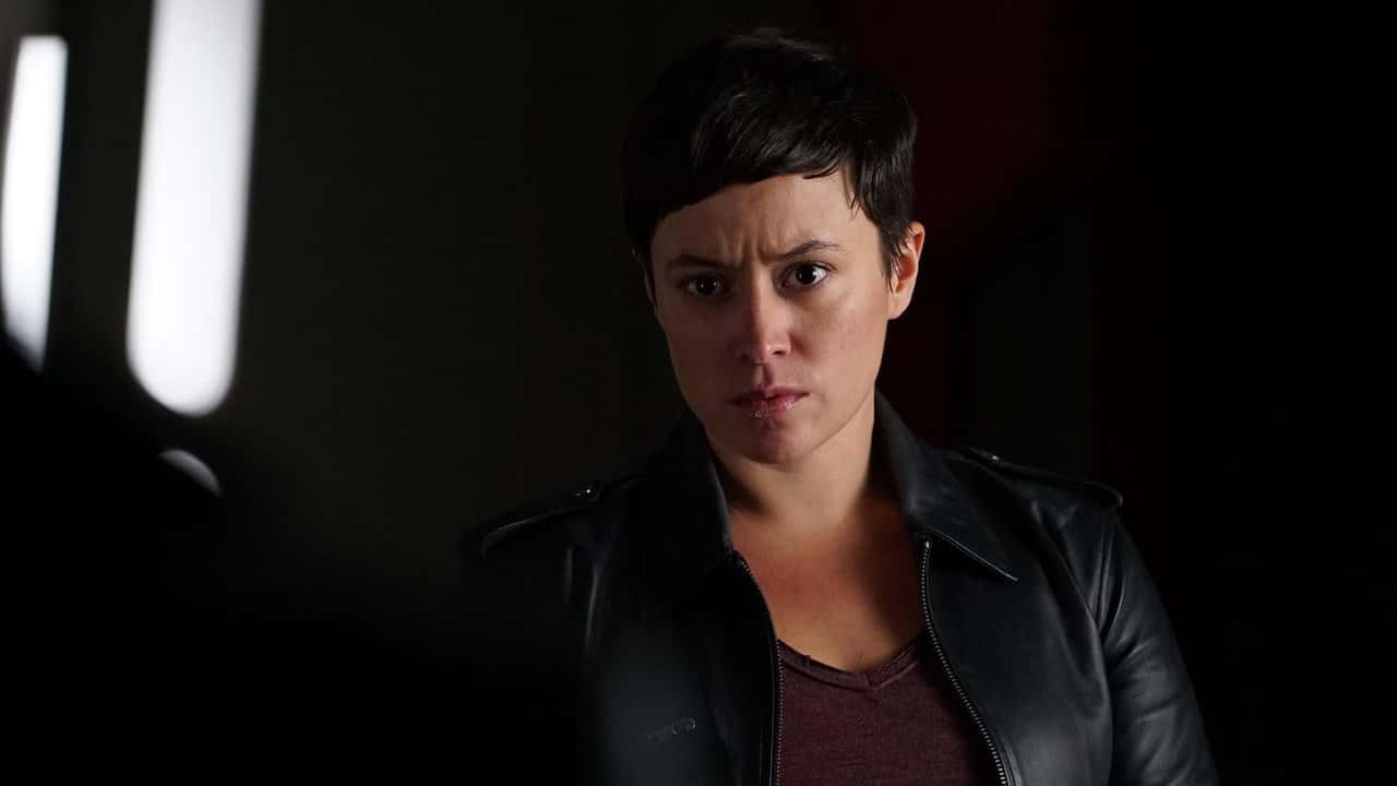 S.H.I.E.L.D. Ajanları 5. Sezon 14. Bölüm kapak