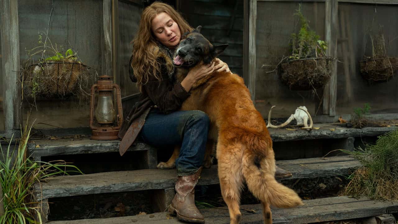 The Walking Dead 10. Sezon 18. Bölüm kapak