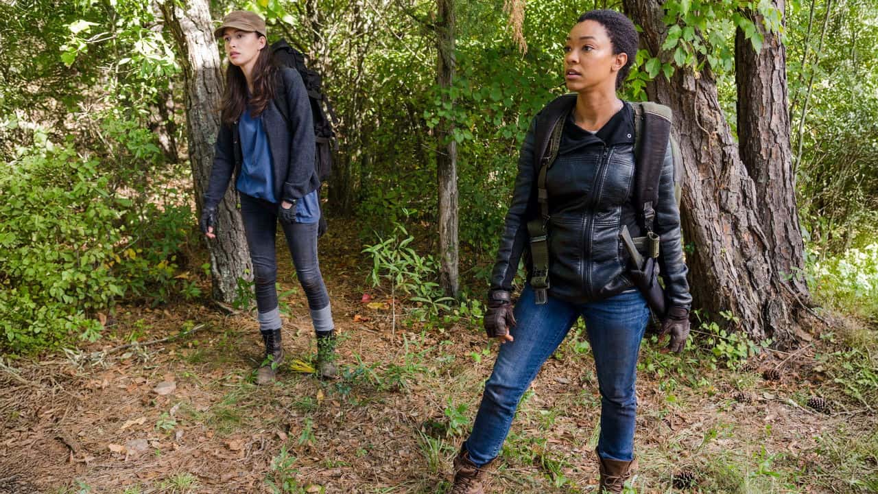 The Walking Dead 7. Sezon 14. Bölüm kapak