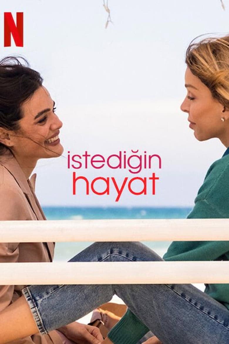 İstediğin Hayat 1. Sezon Posteri