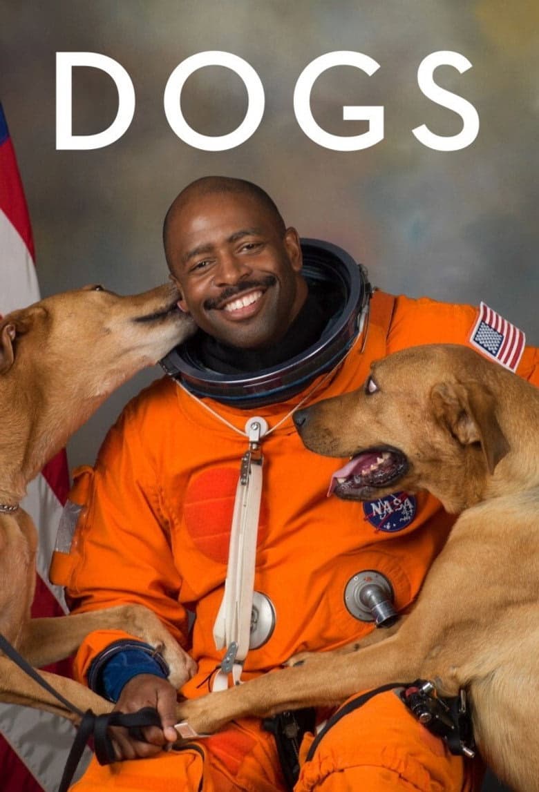 Köpekler 2. Sezon Posteri