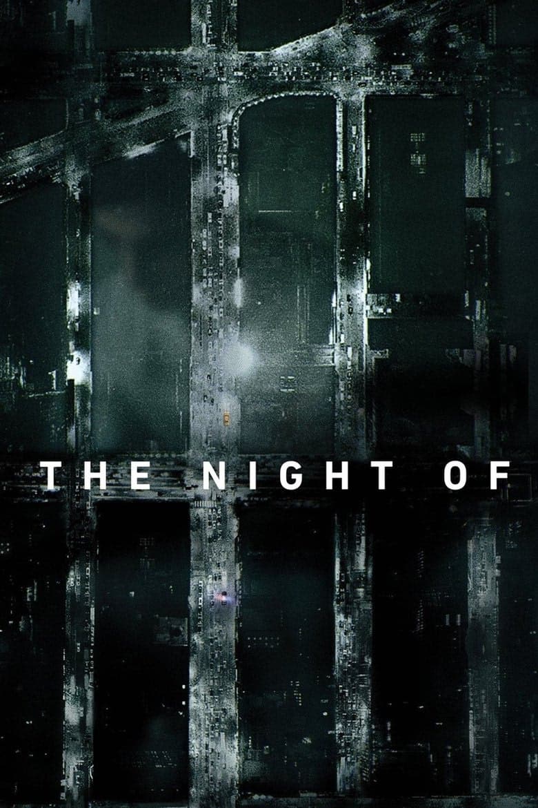 The Night Of 1. Sezon Posteri
