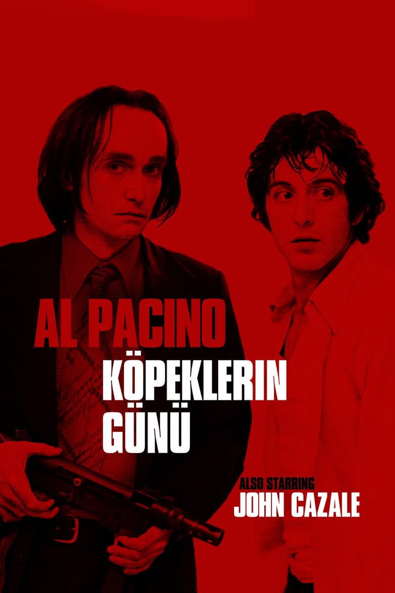 Köpeklerin Günü izle