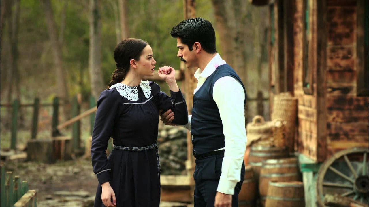 Çalıkuşu arka plan