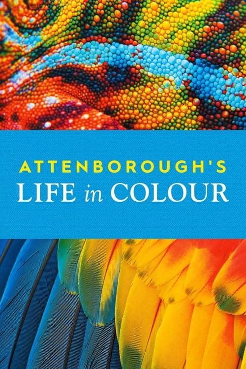 David Attenborough ile Yaşamın Renkleri izle