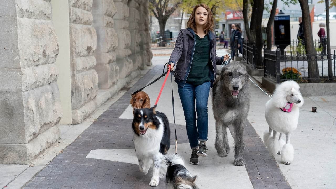 A Dog's Purpose