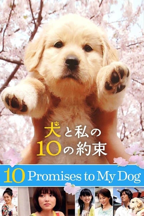 10 Promises to My Dog izle