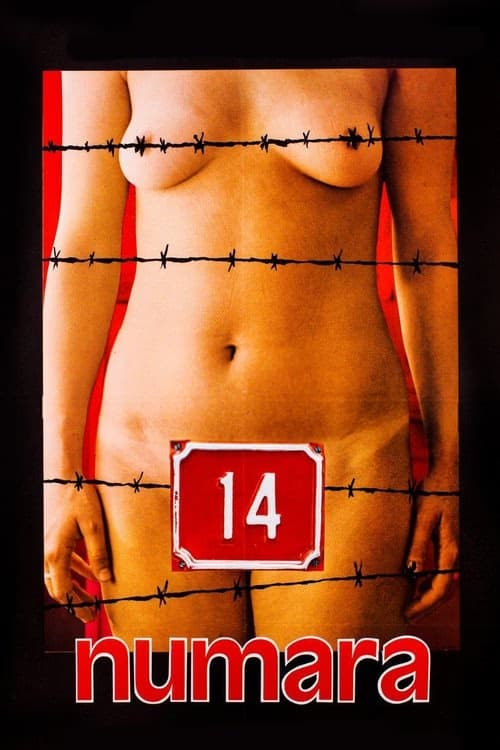 14 Numara izle