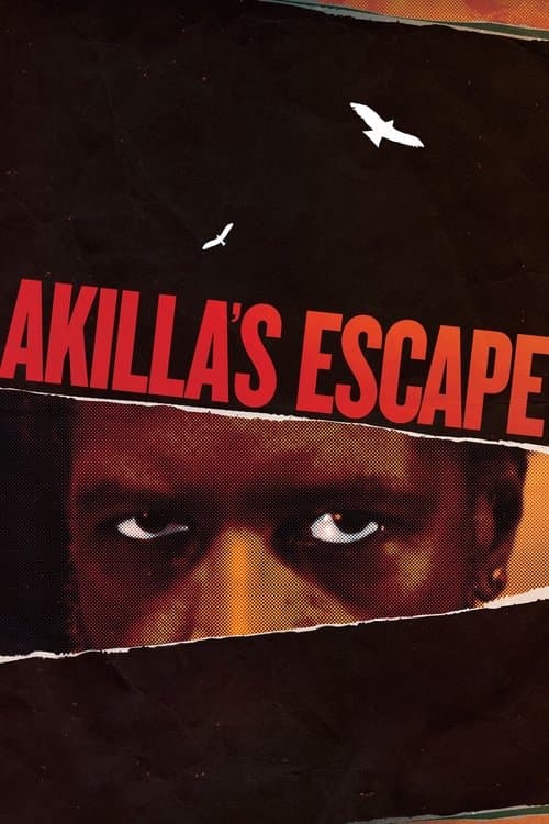 Akilla's Escape izle