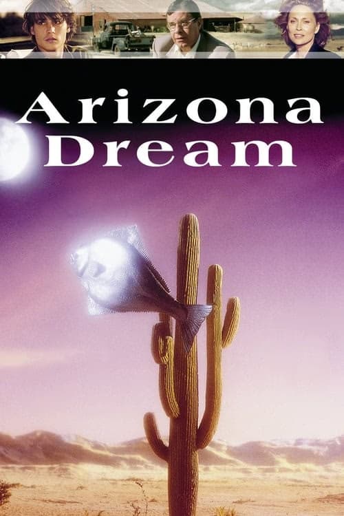 Arizona Rüyası izle