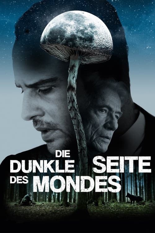 Ay'ın Karanlık Yüzü izle