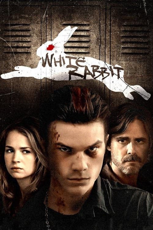 Beyaz Tavşan izle